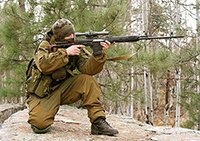 Пневматическая винтовка Svd
