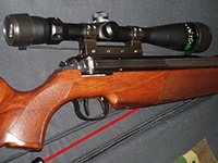 пневматическая винтовка diana 54 цена
