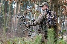 Луки Bear Archery.