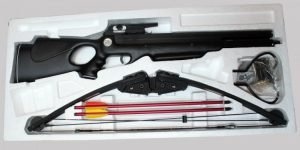 арбалет-мк-250-2