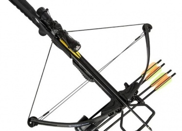 Арбале́т — боевое и спортивное метательное орудие, которое представляет из себя лук с установленными на него механизмами взведения и спуска тетивы.
