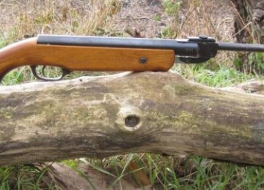 Пневматические винтовки ИЖ - разновидности и их основные характеристики. Топ-3 лучших винтовок. Стоимость.