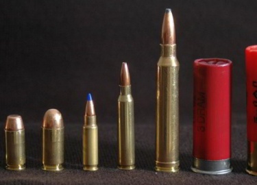 Использование патрона .223 Remington на охоте. Преимущества и недостатки калибра по мнению опытных промысловиков. Таблица с техническими характерис...