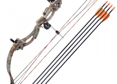 Статьи о луках
