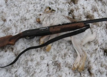 Благодаря продуманности своей конструкции, множеству положительных отзывов от владельцев и высоким показателям стрельбы, заложенных производителем,...