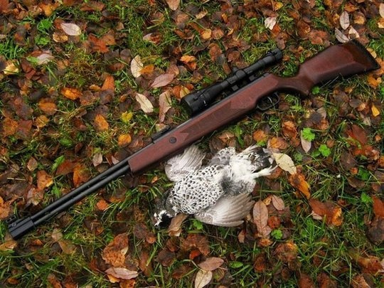 Пневматическая винтовка Umarex Hammerli Hunter Force
