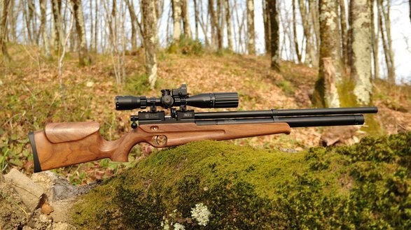 пневматическая винтовка
