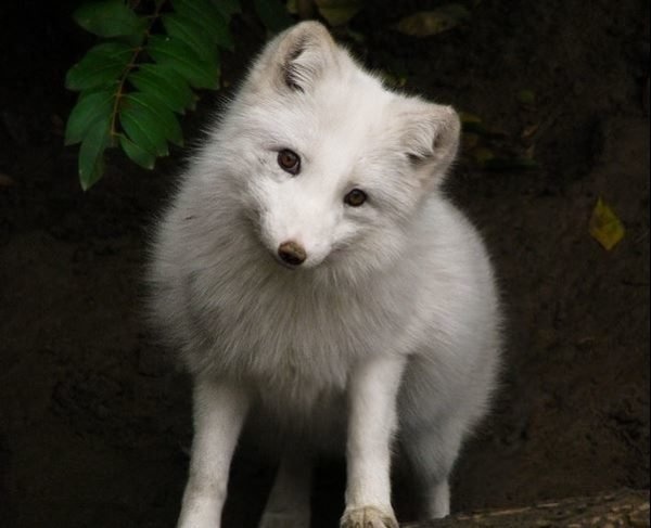 фотография 1
