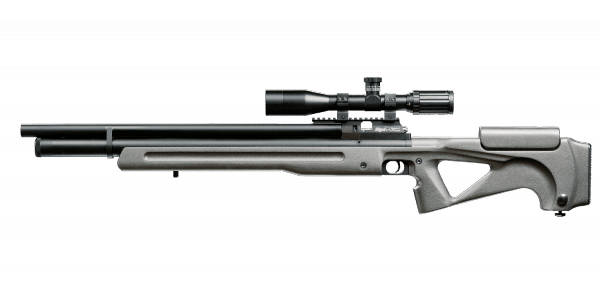 Внешний вид пневматической винтовки Moran