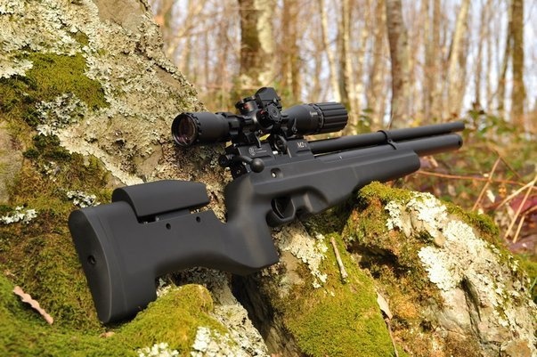 пневматическая винтовка
