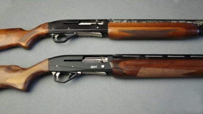 Мурка с ружьем