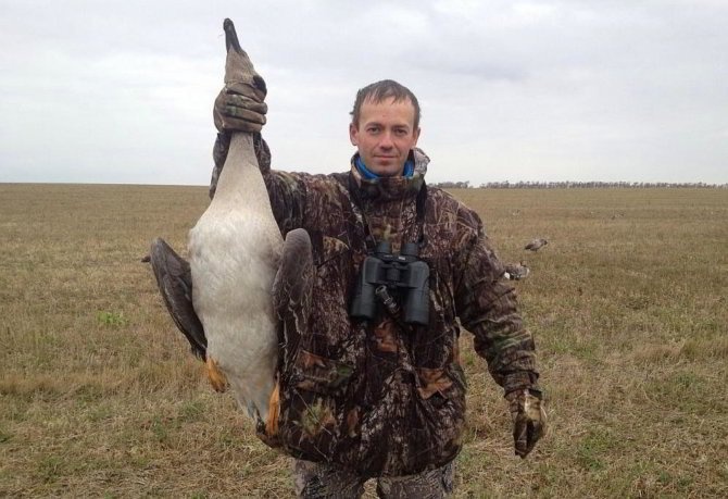 Охотник с гусем
