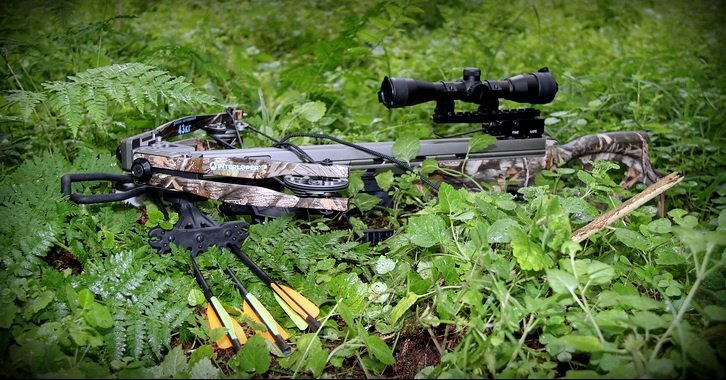 арбалет-интерлопер-скальд-вид