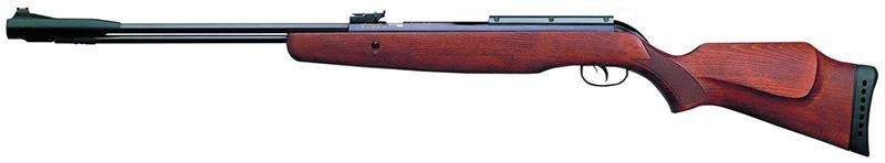 Gamo CFX
