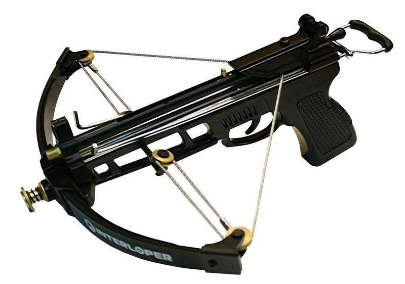 Аспидный интерлопер
