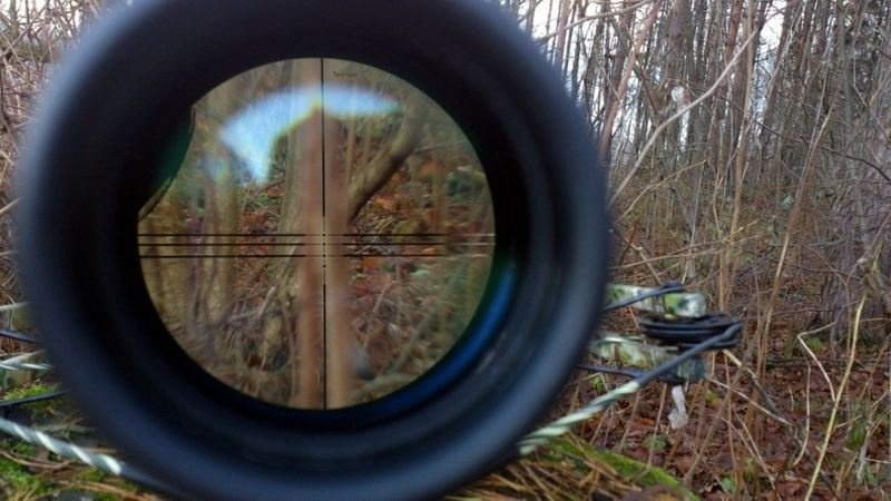 арбалетные прицелы
