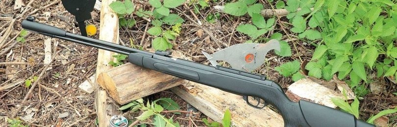 Пневматические винтовки Gamo отзывы
