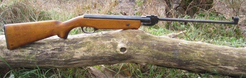 Обзор пневматических винтовок ИЖ
