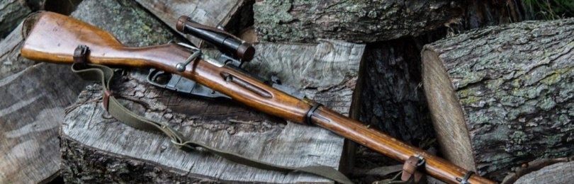 Пневматическая винтовка Мосина отзывы
