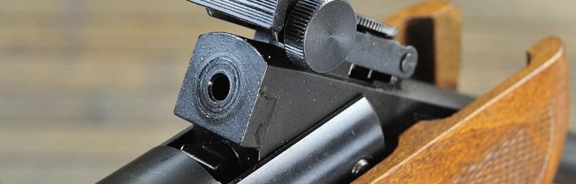 Рейтинг самых мощных пневматических винтовок
